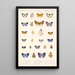 Insecta Lepidoptera Rhopalocera Pl 047 - Frederick DuCane Godman — quadro incorniciato alla parete