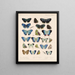Insetti Lepidotteri Rhopaloceri Pl 049 - Frederick DuCane Godman — quadro incorniciato alla parete