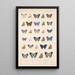Insecta Lepidoptera Rhopalocera Pl 053 - Frederick DuCane Godman — quadro incorniciato alla parete