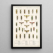 Insecta Rhynchota Hemiptera Homoptera Pl 32 - Frederick DuCane Godman — quadro incorniciato alla parete
