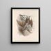 Mammalia Pl 03 - Frederick DuCane Godman — quadro incorniciato alla parete