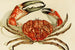 Crostacei IV - Frederick McCoy — vista dell’opera