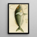 Poissons V - Frederick McCoy — quadro incorniciato alla parete