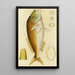 Poissons VI - Frederick McCoy — quadro incorniciato alla parete