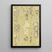 Bryozoaires III - Frederick McCoy — quadro incorniciato alla parete