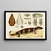 Reptiles VI - Frederick McCoy — quadro incorniciato alla parete