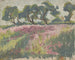 Prairie in fiore con alberi - Frida Konstantin — vista dell’opera