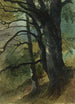 Extrait de forêt - Friedrich August Matthias Gauermann — vista dell’opera