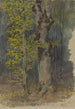Studio di un ramo che si ramifica - Friedrich Carl von Scheidlin — vista dell’opera