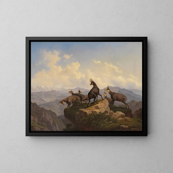 Chamois nel Karwendel - Friedrich Hohe — quadro incorniciato alla parete