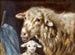 Pecora con agnello nella stalla - Friedrich Otto Gebler — vista dell’opera