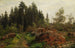 Paesaggio boschivo - Fritz Freund — vista dell’opera