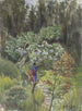 Giardino giapponese - Fritz Hauck — vista dell’opera