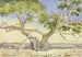 L'albero di Maria vicino al Cairo - Fritz Hauck — vista dell’opera