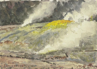 Fritz Hauck - Papandajan auf Java.webp
