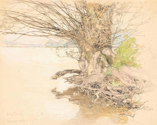 Fritz Lach - A willow tree at the lake shore.webp