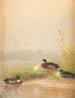 Anatre sul fiume - Fritz Lange — vista dell’opera