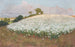 Campo di grano I - Fritz Overbeck — vista dell’opera