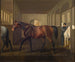 Rosetta - Fritz Thomsen — vista dell’opera