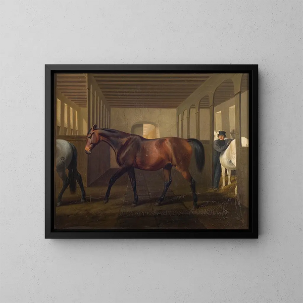 Rosetta - Fritz Thomsen — quadro incorniciato alla parete