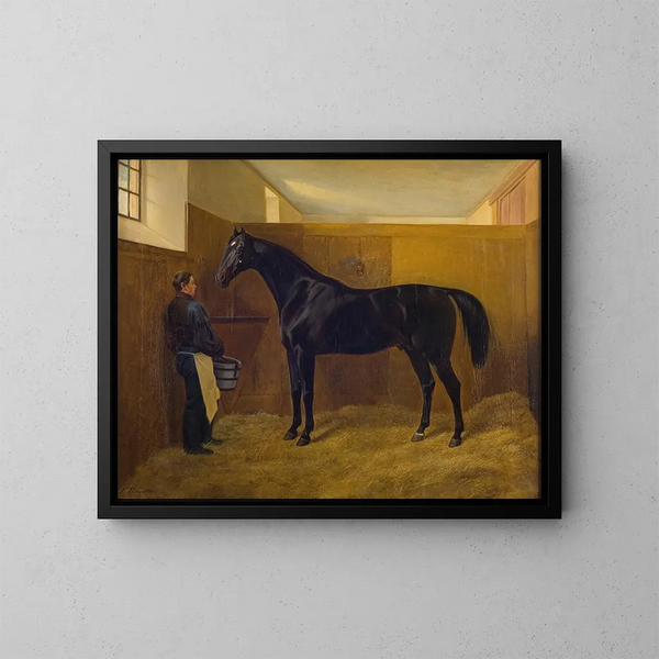 Zampa - Fritz Thomsen — quadro incorniciato alla parete