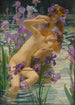Les Iris - Gaston Bussière — vista dell’opera
