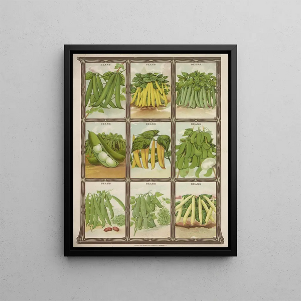 Genesee Valley Lithograph Co - Beans.webp