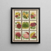 Calliopsis Canari vigne Canna Œillet - Genesee Valley Lithograph & Co.. — quadro incorniciato alla parete