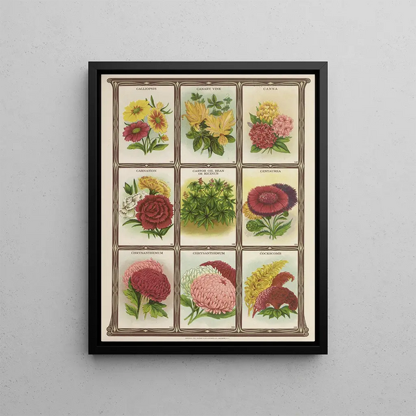 Genesee Valley Lithograph Co - Calliopsis Canary vine Canna Carnation.webp