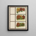 Capucine - Genesee Valley Lithograph & Co.. — quadro incorniciato alla parete