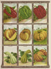 Citrouille - Genesee Valley Lithograph & Co.. — vista dell’opera