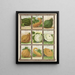 Squash - Genesee Valley Lithograph & Co.. — quadro incorniciato alla parete