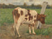 mucca - Geo Poggenbeek — vista dell’opera