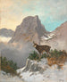 Un camoscio in alta montagna - Georg Berger — vista dell’opera
