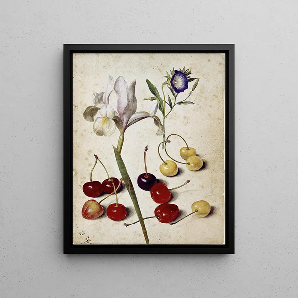 Georg Flegel - Spanish iris morning glory and cherries.webp