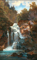 Una cascata impetuosa - Georg Holub — vista dell’opera