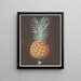 Le pin brun de La Havane - George Brookshaw — quadro incorniciato alla parete