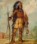 A-Wun-Ne-Wa-Be Oiseau du Tonnerre - George Catlin — vista dell’opera