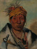 Ah-Yaw-Ne-Tak-Or-Ron un guerriero - George Catlin — vista dell’opera