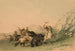 Attacco dell'orso grizzly - George Catlin — vista dell’opera