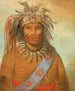 Oiseau de tempête d'Aunimmuckkwaum - George Catlin — vista dell’opera