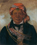 BdA-Sin Chef de la tribu - George Catlin — vista dell’opera
