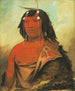 Biets-Ee-Cure Uomo molto gentile - George Catlin — vista dell’opera