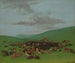 Caccia al bisonte circondato dagli Hidatsa - George Catlin — vista dell’opera