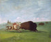 Caccia al bisonte, una sola morte - George Catlin — vista dell’opera