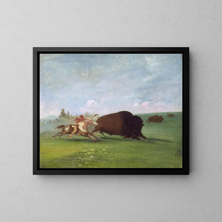 Caccia al bisonte, una sola morte - George Catlin — quadro incorniciato alla parete