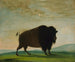 di mucca bufalo che pascola nella prateria - George Catlin — vista dell’opera