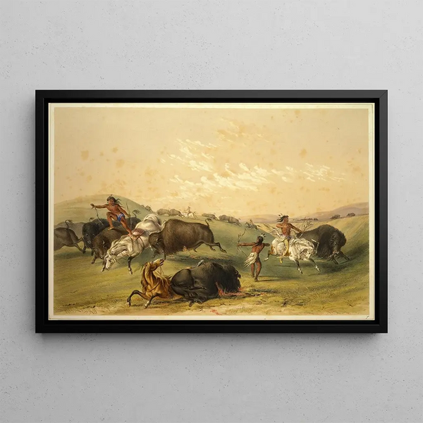 Caccia al bisonte, un gruppo numeroso - George Catlin — quadro incorniciato alla parete