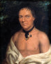 Co-Sne-Boin - George Catlin — vista dell’opera