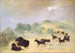 Élan e bisonti che si incontrano in Texas - George Catlin — vista dell’opera